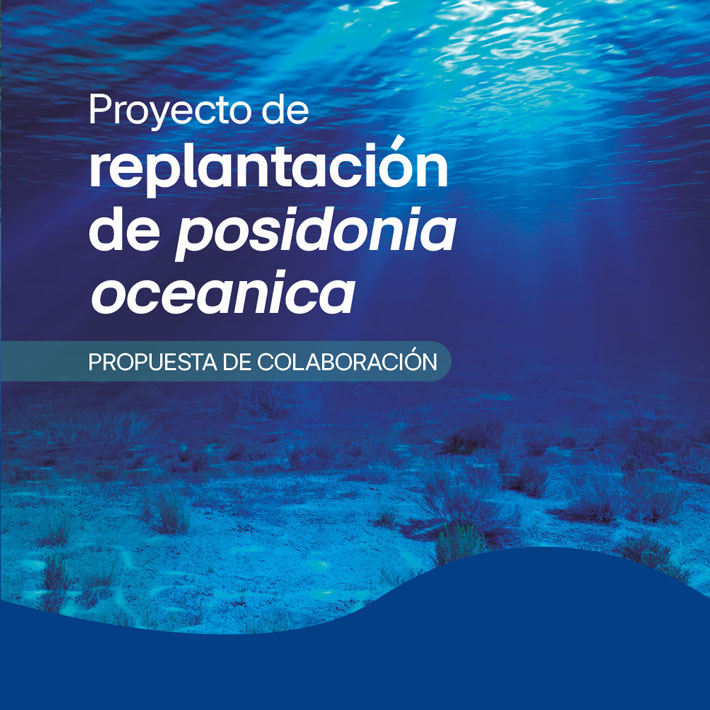 PROYECTO DE REPLANTACIÓN DE POSIDONIA OCEANICA