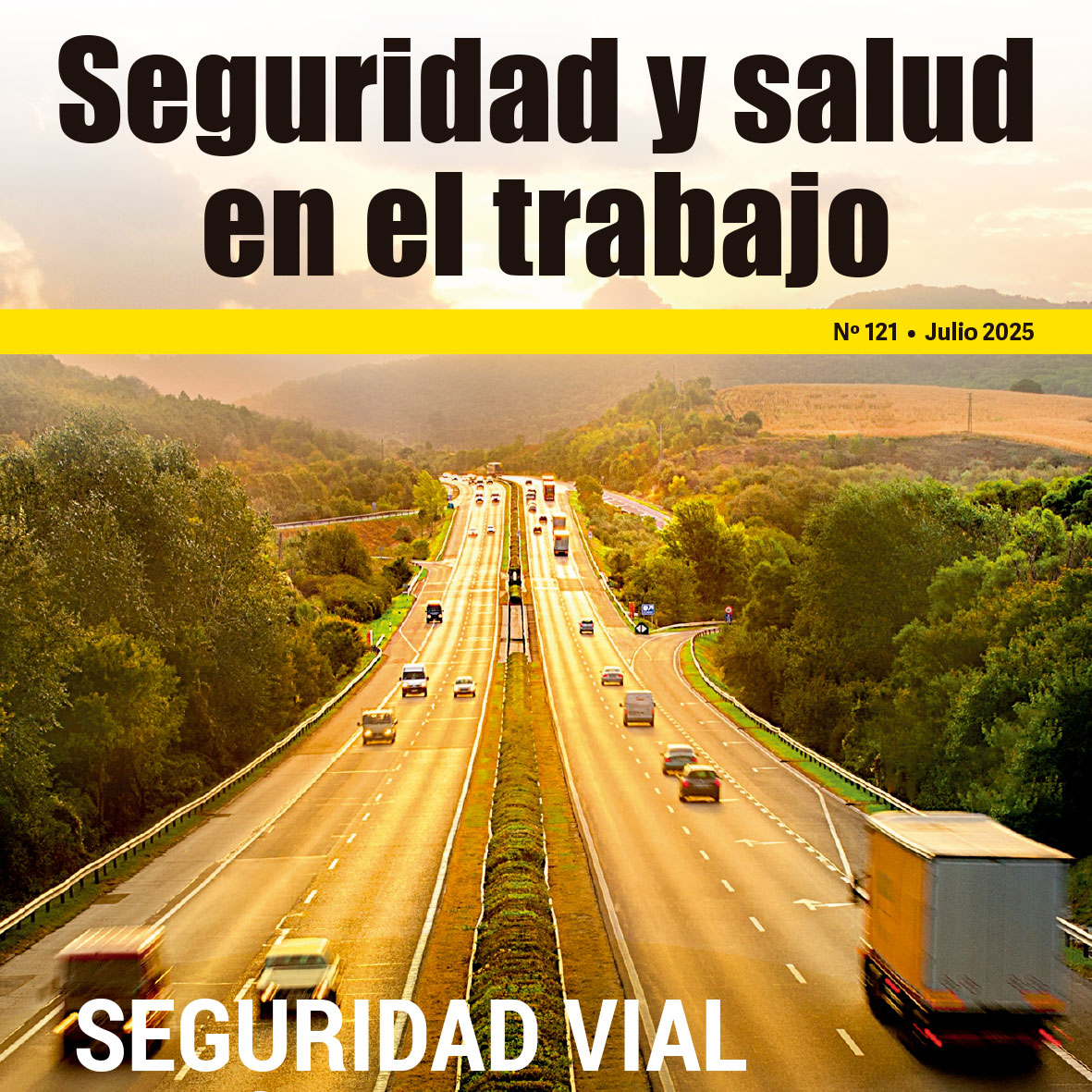 SEGURIDAD Y SALUD EN EL TRABAJO